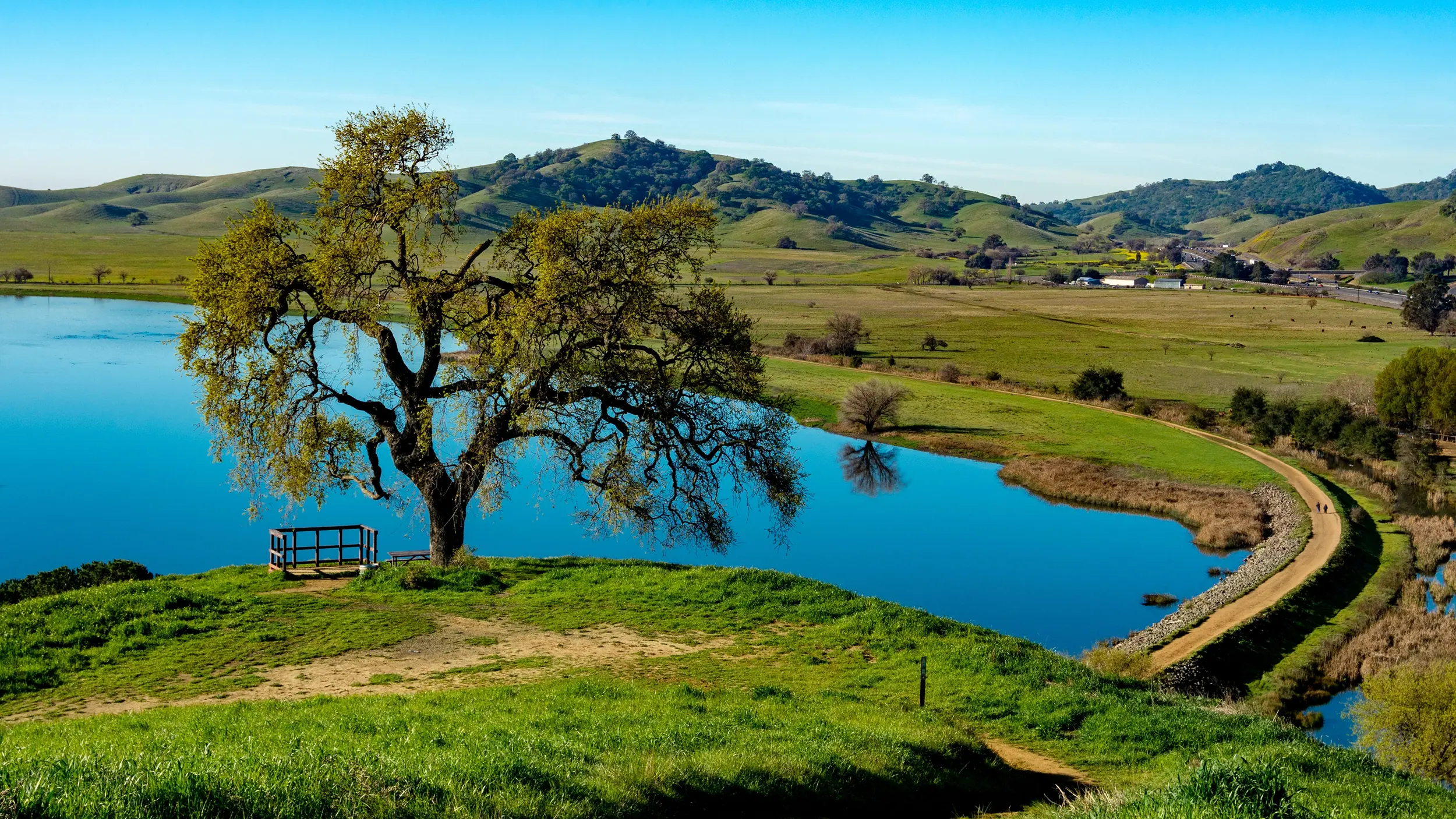 Depositphotos_232019044_XL(1)