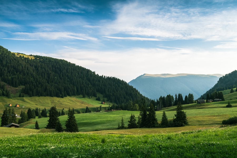 Green valley with pine-covered hills and mountains under a blue sky