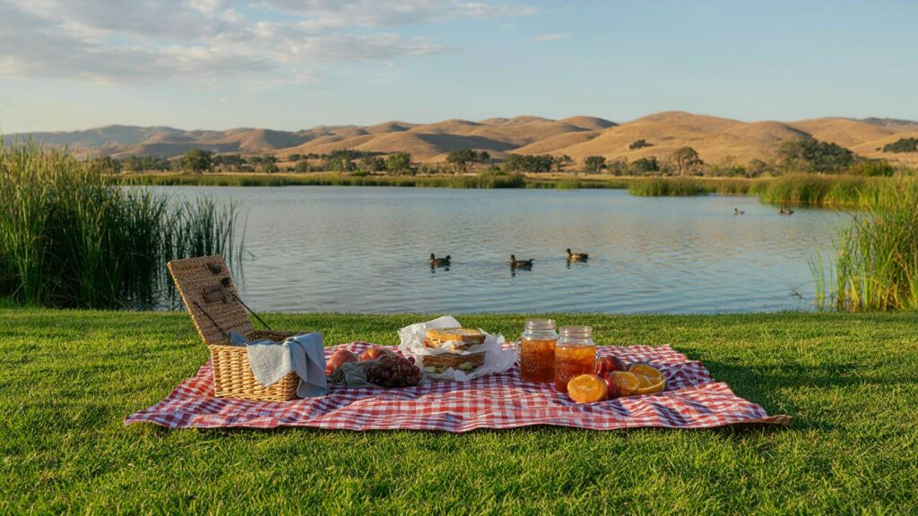 Picnic blanket overlooking a lake at a Vacaville park