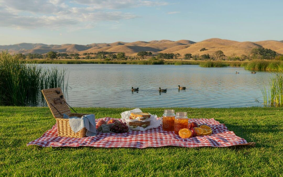 Vacaville’s Best Spots for a Weekend Picnic