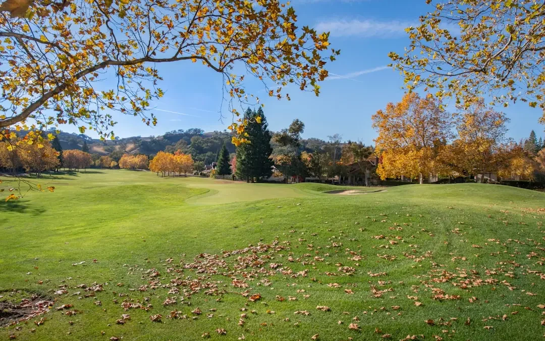 Vacaville Weekend Events: Music, Food, and Fun
