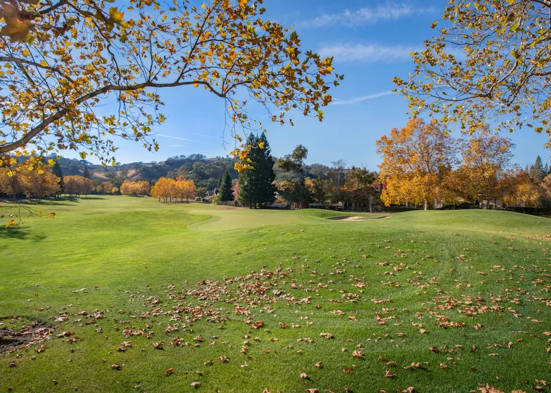 Vacaville Weekend Events: Music, Food, and Fun Golf course fairway lined with autumn trees under a blue sky